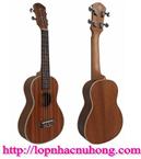 Đàn ukulele hcm 