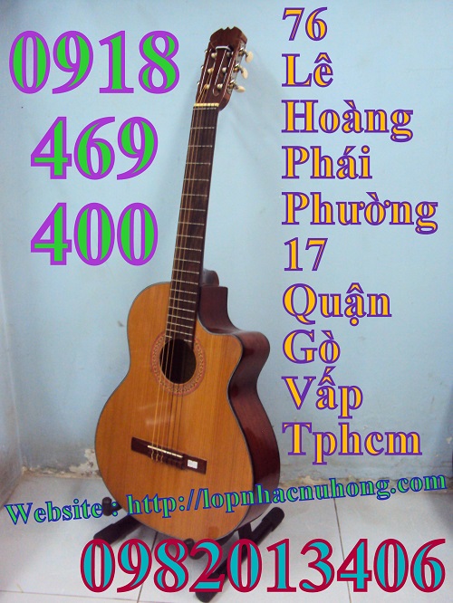 Đàn guitar chơi độc tấu