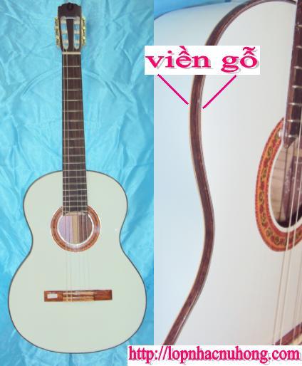 Đàn Guitar Viền Gỗ