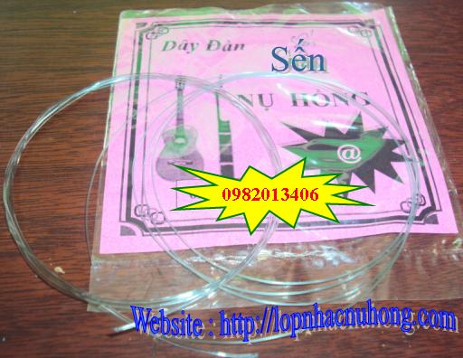 Dây đàn sến