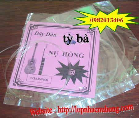 Dây đàn tỳ bà
