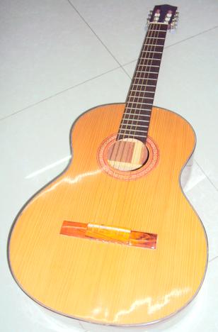Đàn guitar tại gò vấp