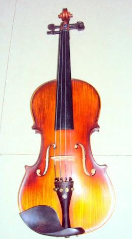 Đàn Violin Đài Loan 