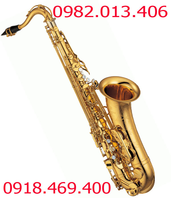 kèn saxophone giá rẻ  
