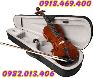 Đàn violon giá tốt chất lượng đảm bảo