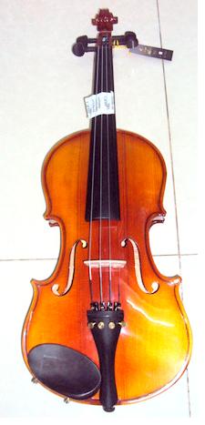 Đàn Violin giá rẻ 