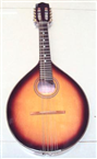 Đàn mandolin thùng tròn