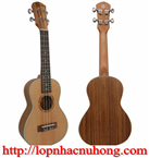 Đàn ukulele Sài Gòn 