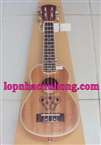Đàn ukulele giá tốt 