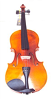 Đàn Violin Mỹ