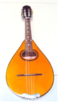 Đàn mandolin màu gỗ 