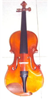 Violin giá rẻ tphcm 