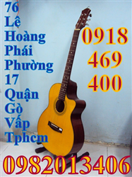Đàn guitar acoustic 03