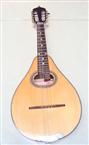 Đàn mandolin hcm