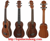 Đàn ukulele tphcm