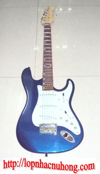 Đàn guitar cổ điện 4