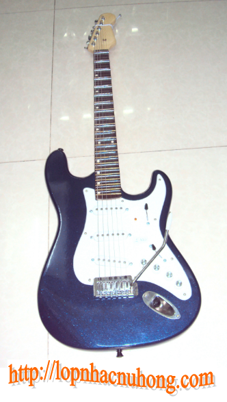 Đàn guitar cổ điện 5