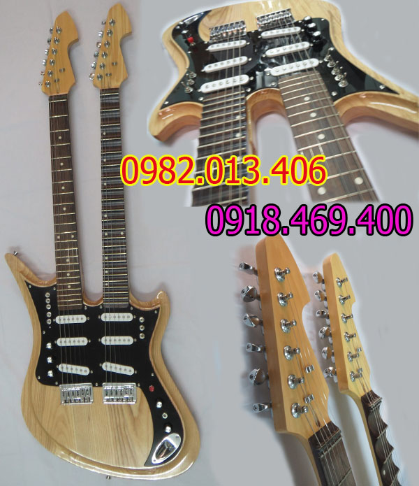 Đàn guitar điện 2 cần