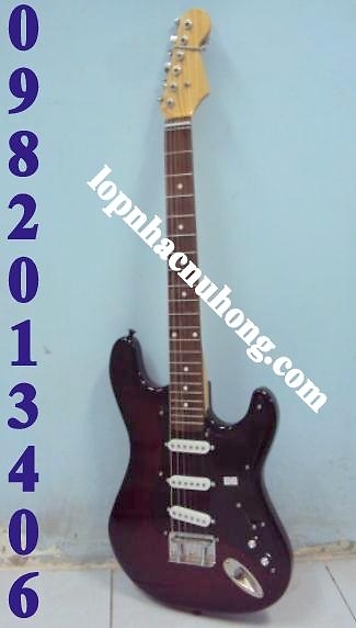 Đàn guitar điện tphcm