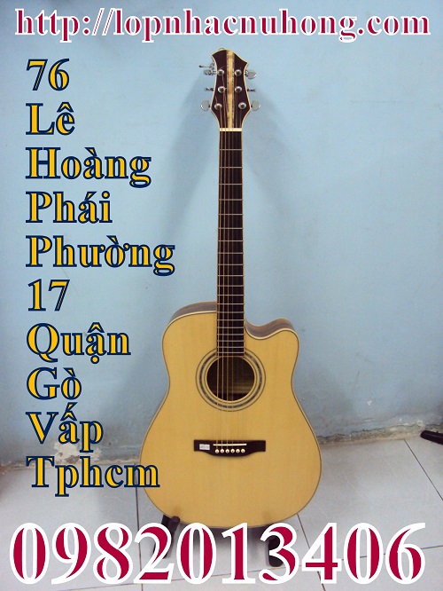 Đàn guitar acoustic 01