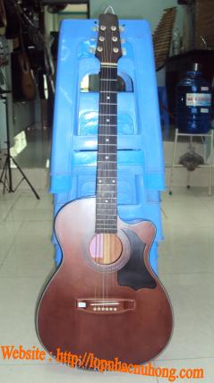 Đàn guitar đệm hát