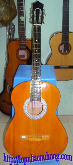 Đàn guitar  giá mềm