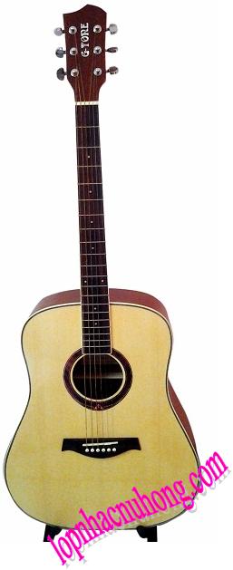 Đàn guitar hiệu G - TORE