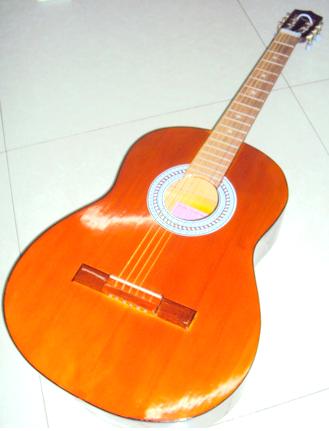 Đàn guitar màu cánh gián