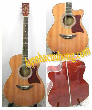 Đàn Guitar Monica