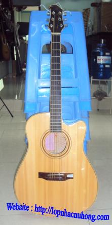 Đàn guitar sinh viên