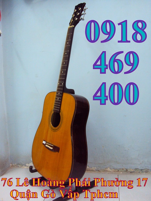 Đàn guitar thùng chữ D