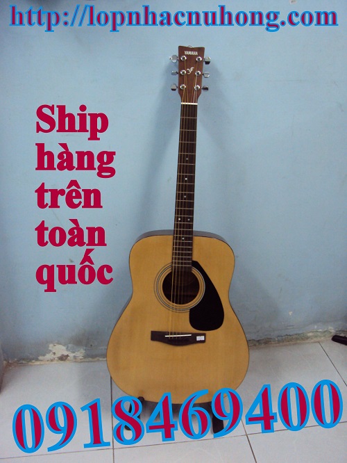 Đàn guitar Yamaha acoustic