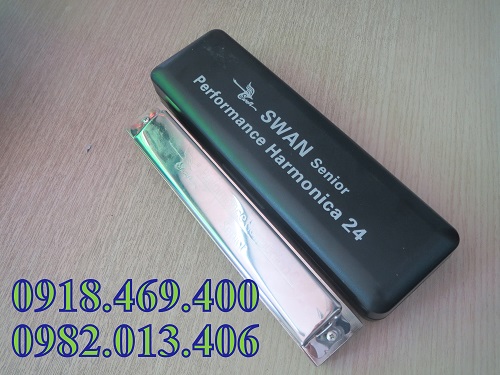 Harmonica 24 lỗ