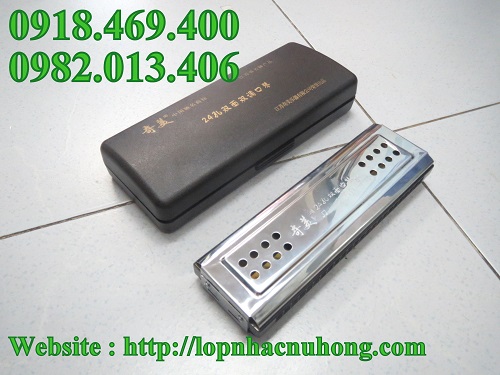 Harmonica 48 lỗ