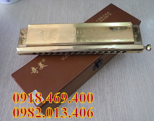 Harmonica chromatic