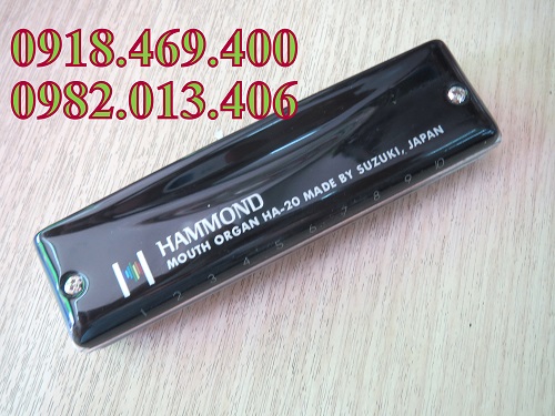 Harmonica suzuki 10 lỗ