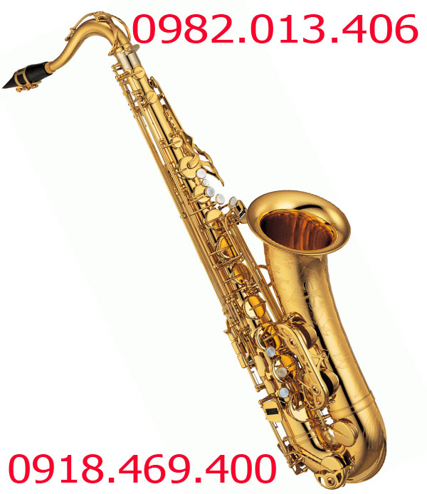 Kèn saxophone giá rẻ