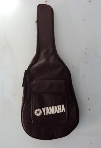Bao da guitar