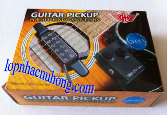 Pickup guitar gò vấp