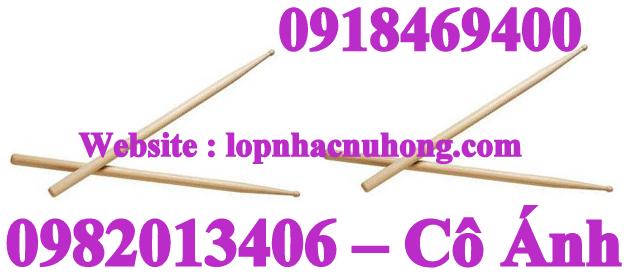 Drum stick