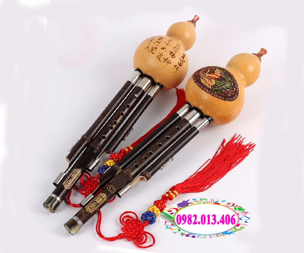 Sáo bầu gò vấp