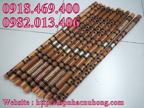Sáo dizi gò vấp