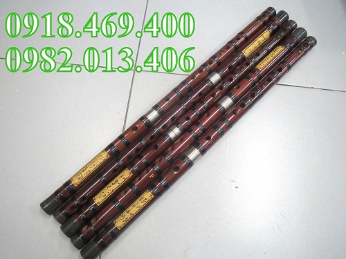 Sáo tàu gò vấp
