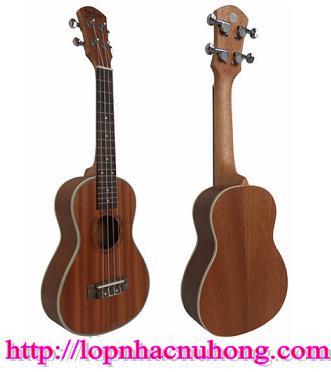 Đàn ukulele hcm