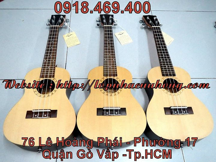 Đàn ukulele size concert