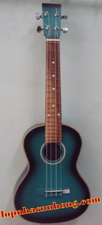 Đàn ukulele xanh đen