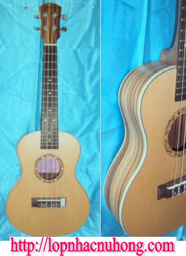 Ukulele cao cấp